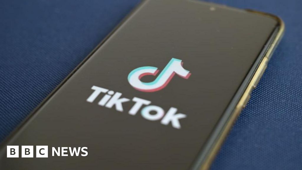 US teen shot dead by father over TikTok videos
