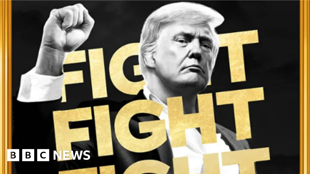 Trump’s new meme-coin sparks anger in crypto world