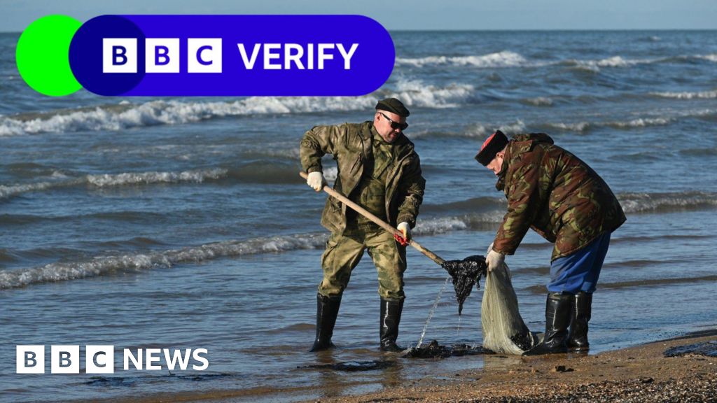 Russia suffering ‘environmental catastrophe’ after oil spill in Kerch Strait