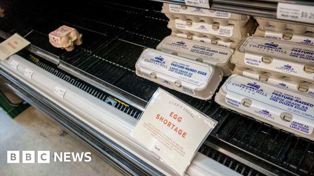 100,000 organic eggs stolen from one US grocer as bird flu drives up prices