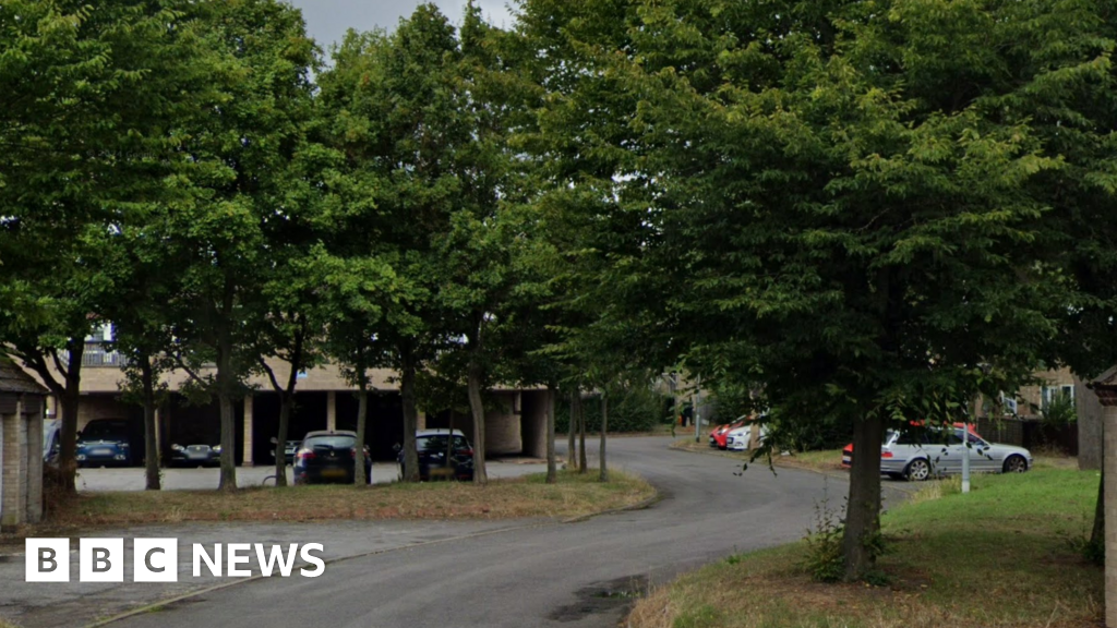 Pitsea hit-and-run crash kills two children