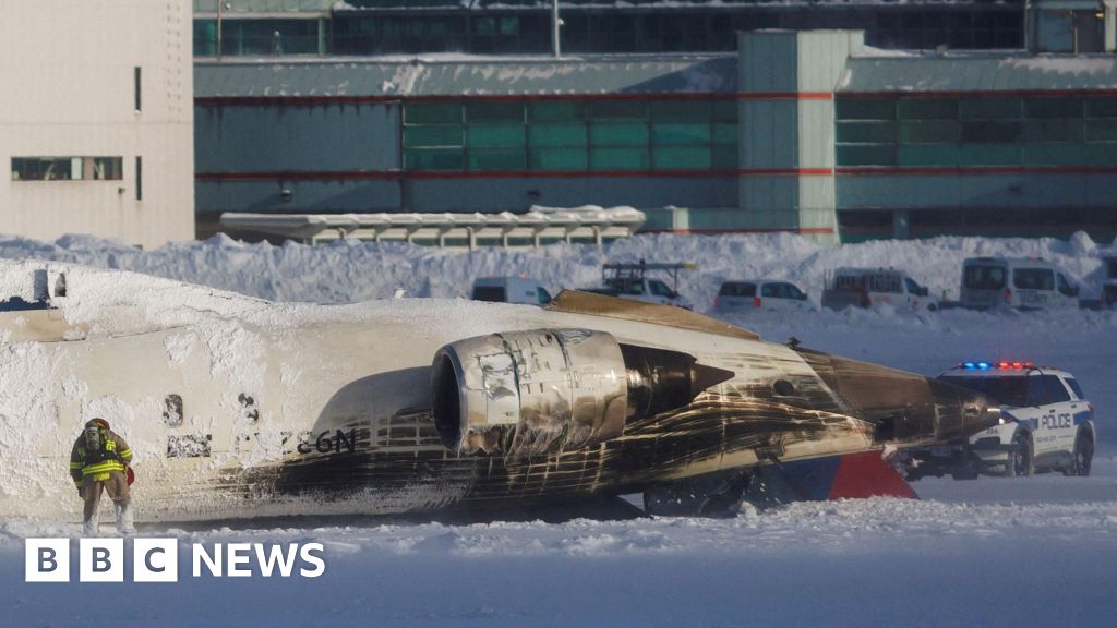 ‘I was just in a plane crash. Oh my God’: Witnesses recount incident