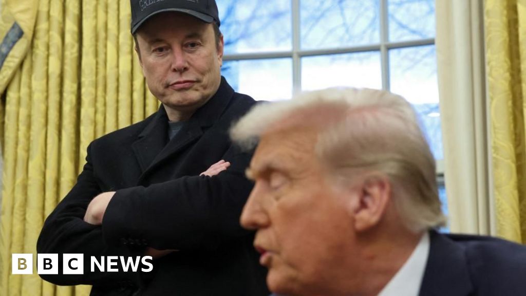 Elon Musk denies ‘hostile takeover’ of government in surprise White House appearance