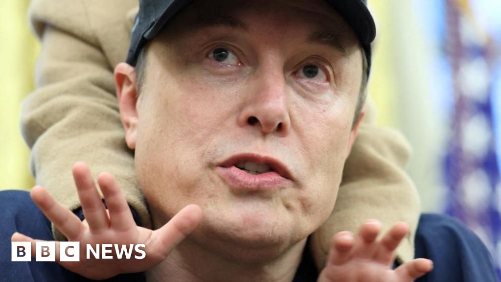 ‘On a power trip’ or ‘obviously brilliant’? Voters weigh Musk’s influence