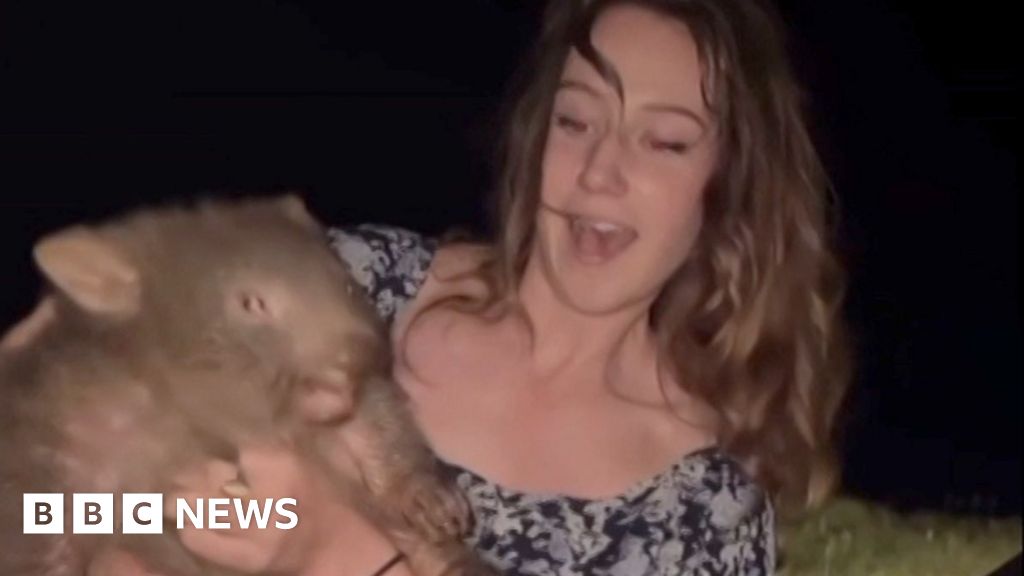 US influencer draws backlash for taking baby wombat from mum